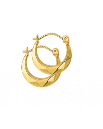 Gouden creool oorring lapide glad 13 mm